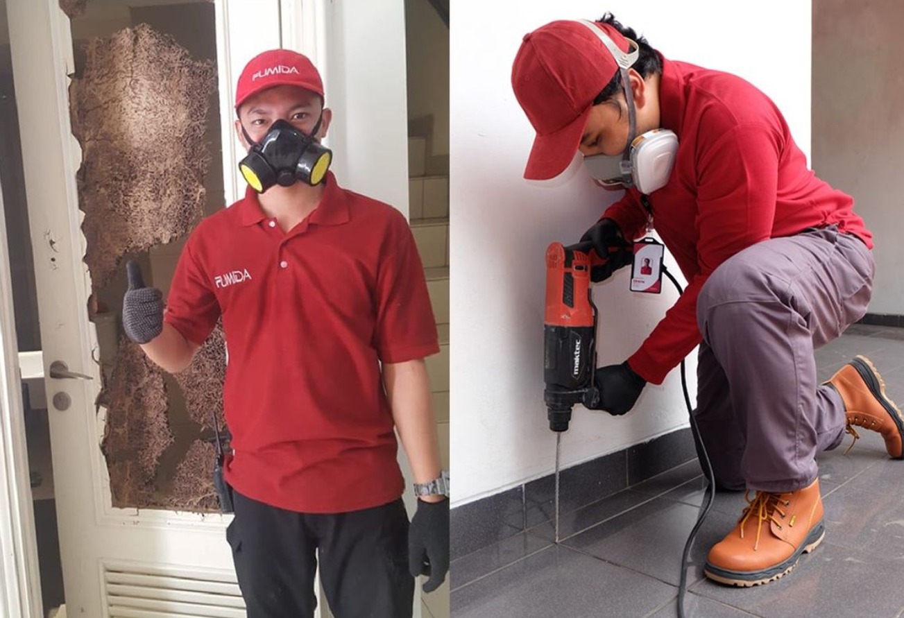 Read more about the article Mau rumah anda anti rayap? Gunakan jasa ini
